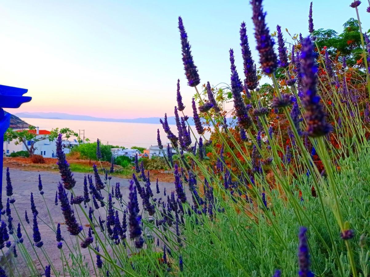 Evangelia House Sea View Apartments Agia Pelagia  Zewnętrze zdjęcie