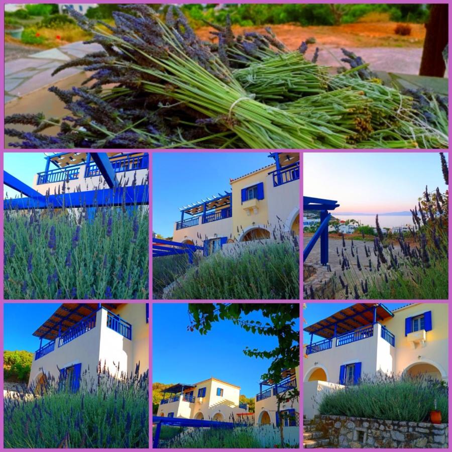 Evangelia House Sea View Apartments Agia Pelagia  Zewnętrze zdjęcie