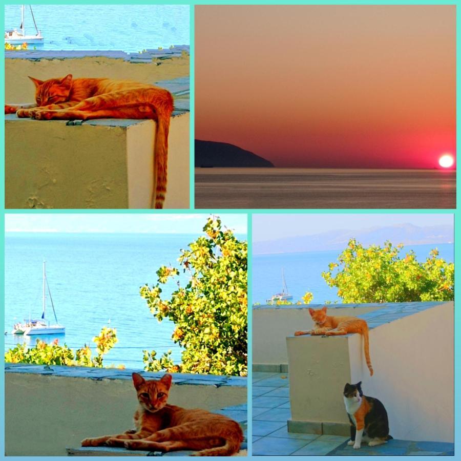 Evangelia House Sea View Apartments Agia Pelagia  Zewnętrze zdjęcie